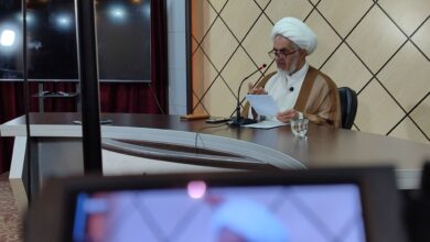 الإمامة في تراث الإمام الرضا (ع)